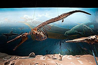 《毁灭战士：黑暗时代》登顶英国销量榜 力压《33号远征队》